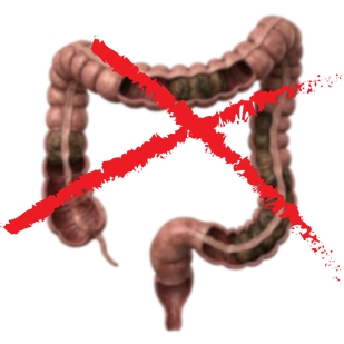 Digestive Sluggishness
