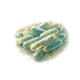 Lactobacillus Acidophilus